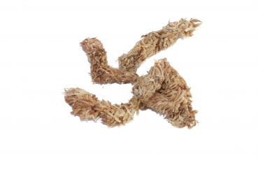 Sphagnum Moos 500 Gramm aus Chile